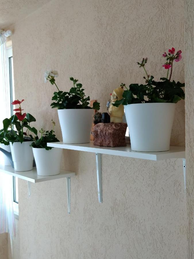 Heart Of Makarska Appartement Buitenkant foto